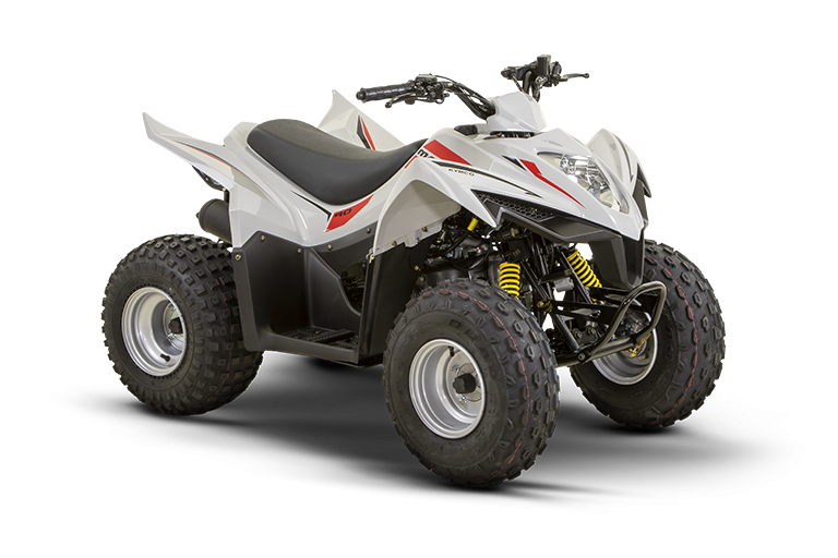 KYMCO MAXXER 90 HOMOLOGUE